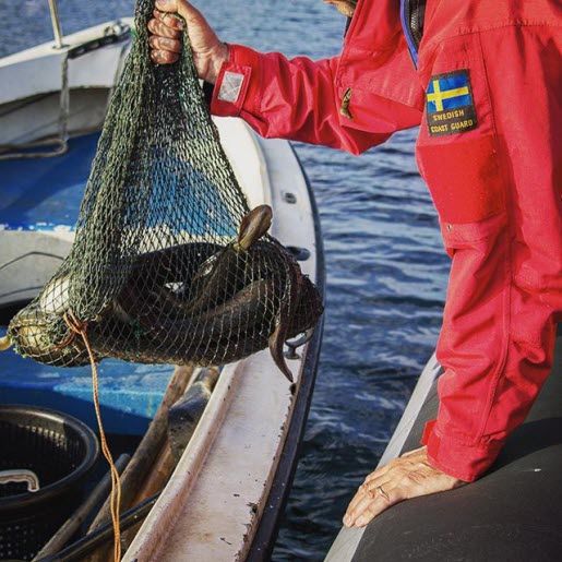 Yrkes- och fritidsfiskare kontrolleras regelbundet längs hela den svenska kusten, i Vänern och Mälaren. Foto: Kustbevakningen.