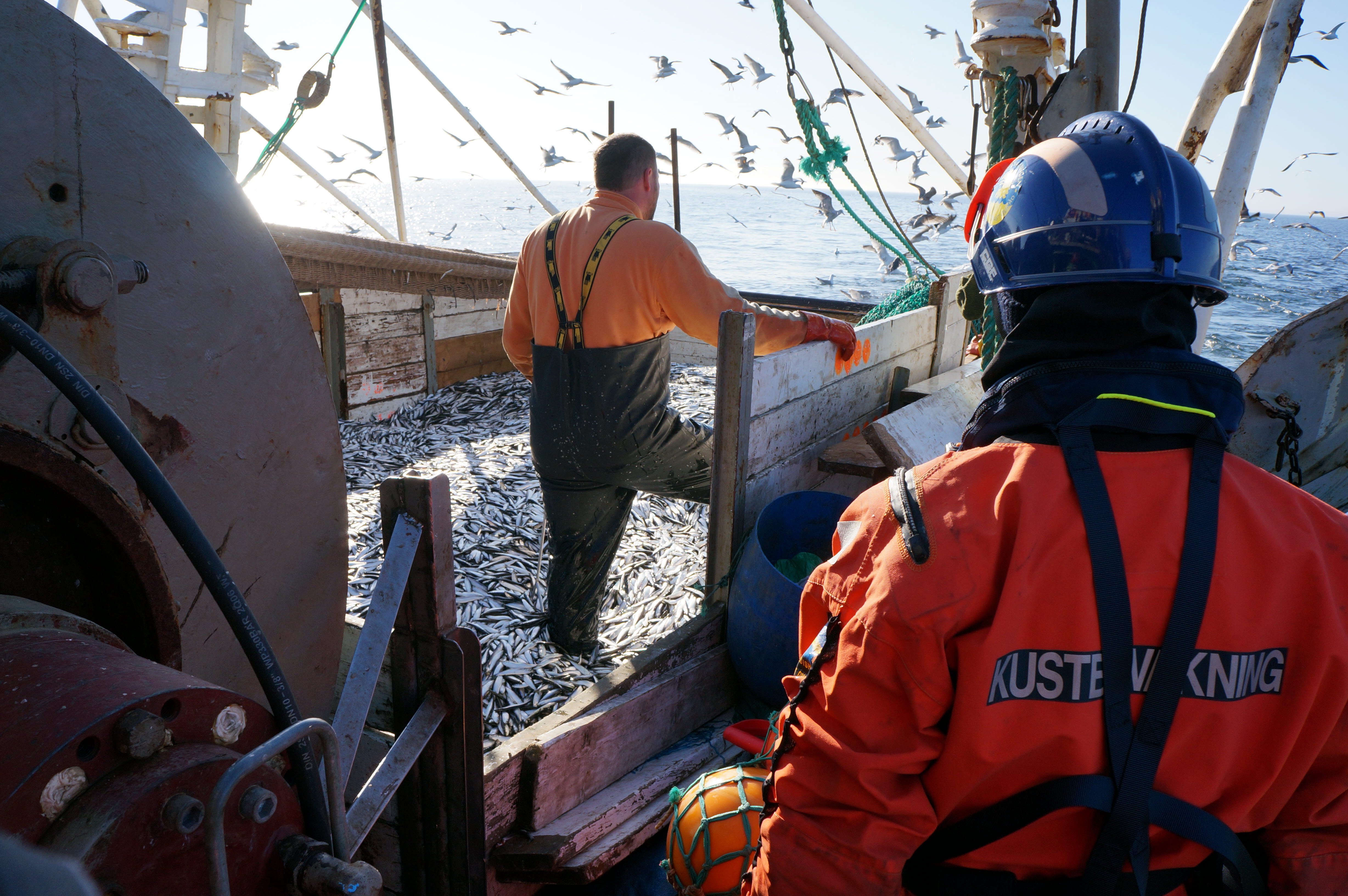 Kustbevakningen gör en fiskekontroll till sjöss