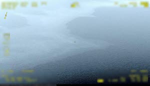 Okänt utsläpp i Bottenhavet 8 juni